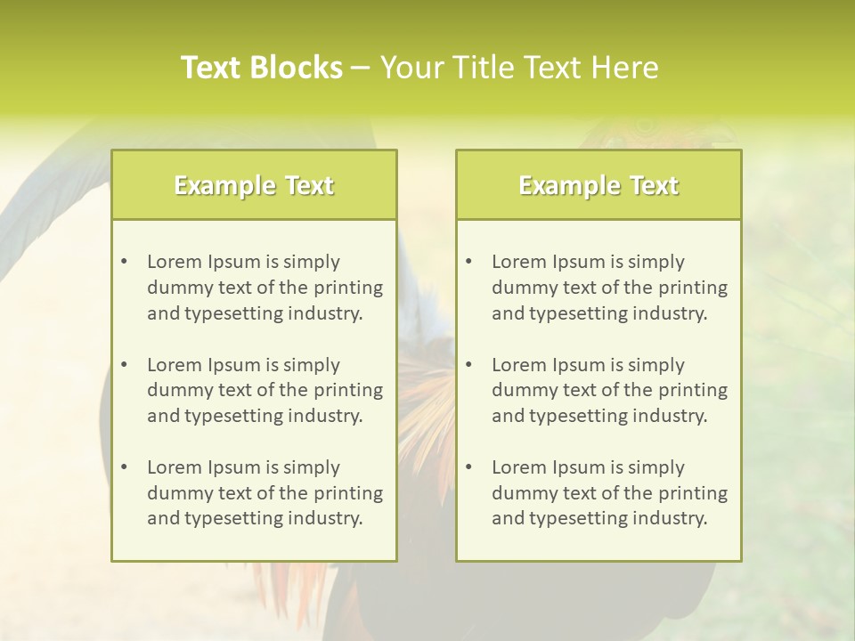 A Rooster Is Standing In The Grass PowerPoint Template