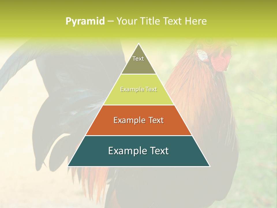 A Rooster Is Standing In The Grass PowerPoint Template