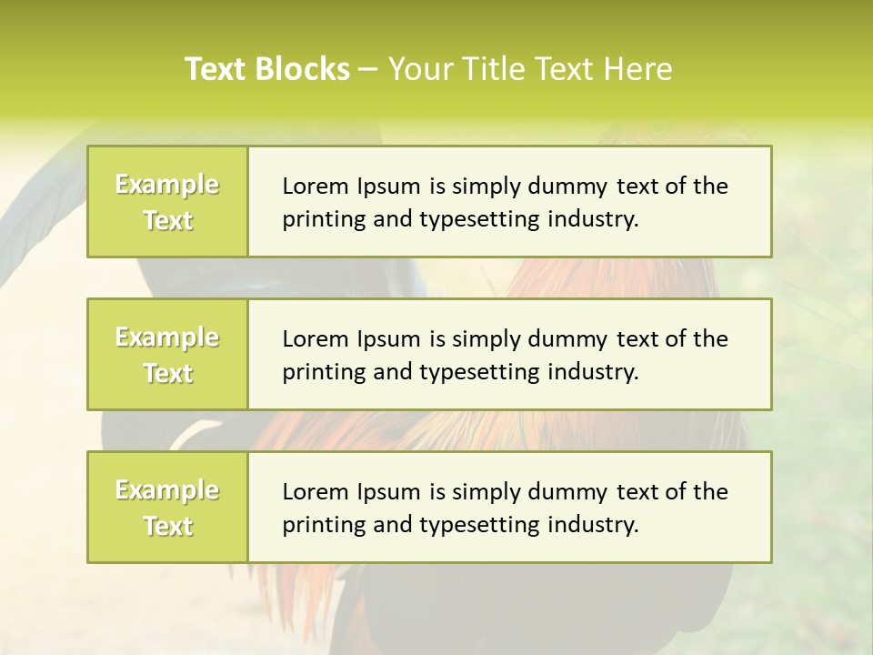 A Rooster Is Standing In The Grass PowerPoint Template