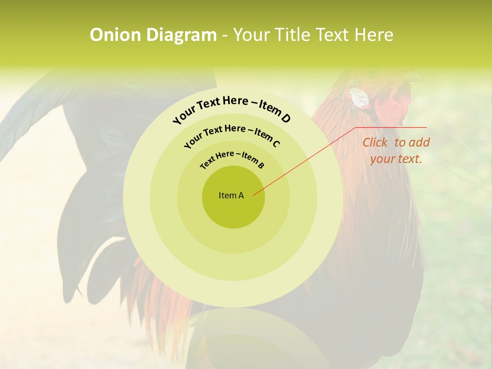 A Rooster Is Standing In The Grass PowerPoint Template