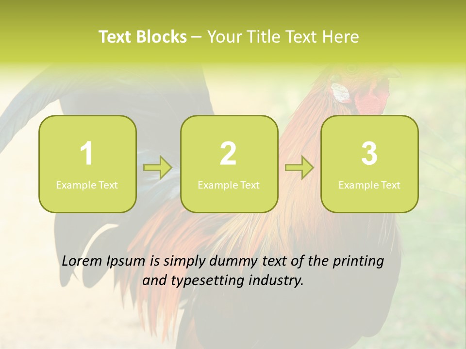 A Rooster Is Standing In The Grass PowerPoint Template