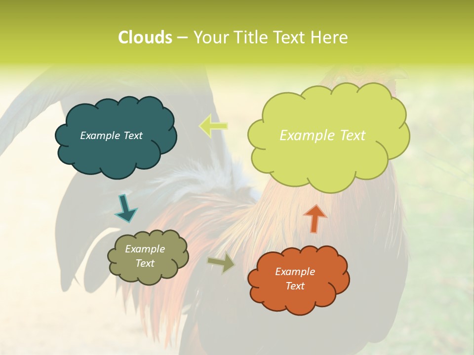 A Rooster Is Standing In The Grass PowerPoint Template