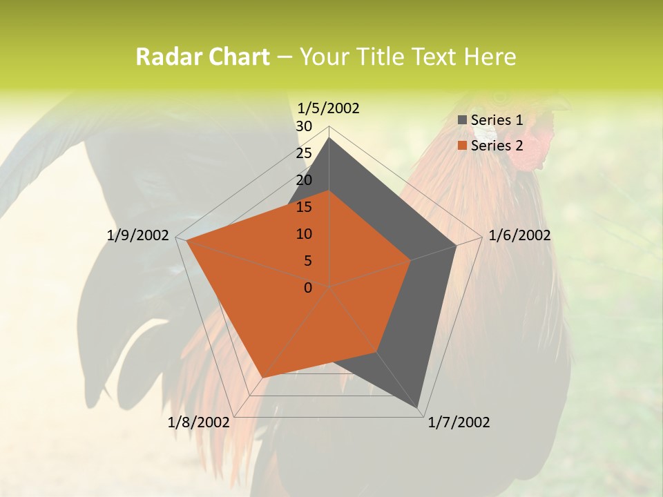 A Rooster Is Standing In The Grass PowerPoint Template