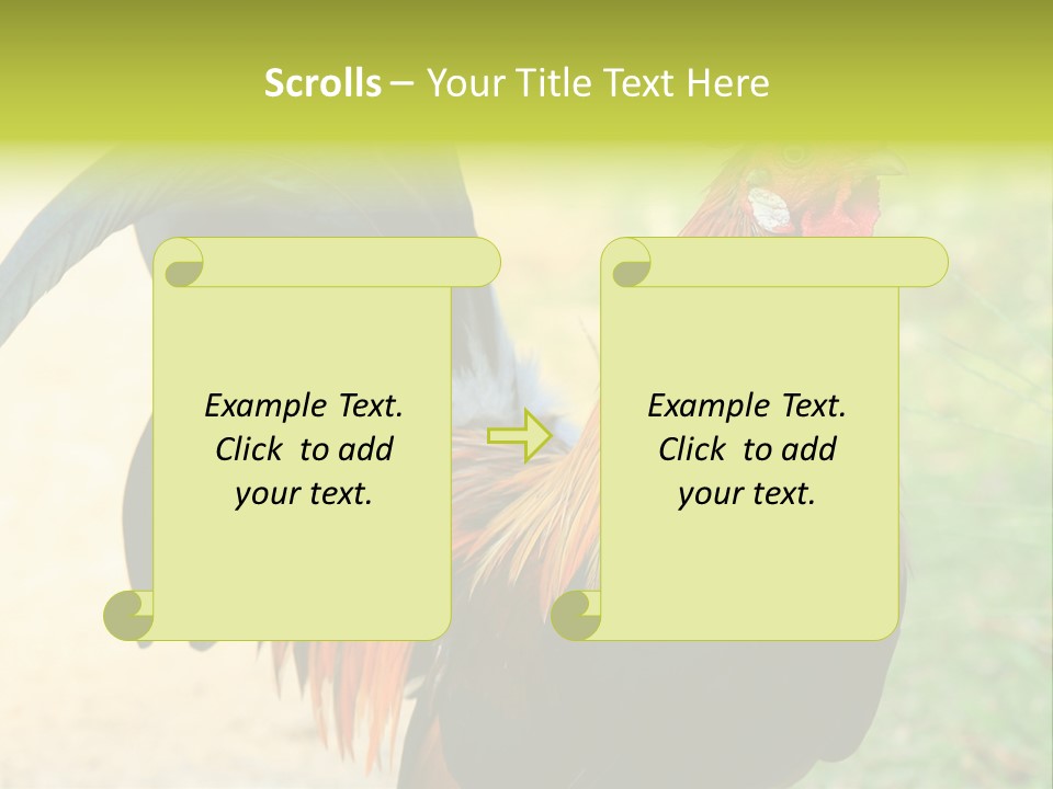 A Rooster Is Standing In The Grass PowerPoint Template