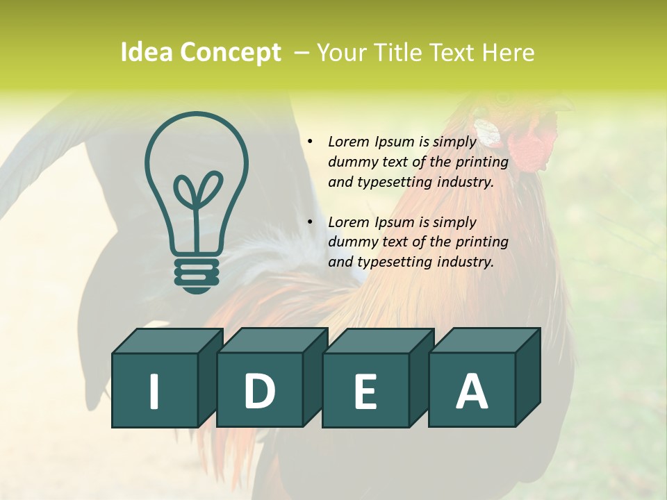 A Rooster Is Standing In The Grass PowerPoint Template