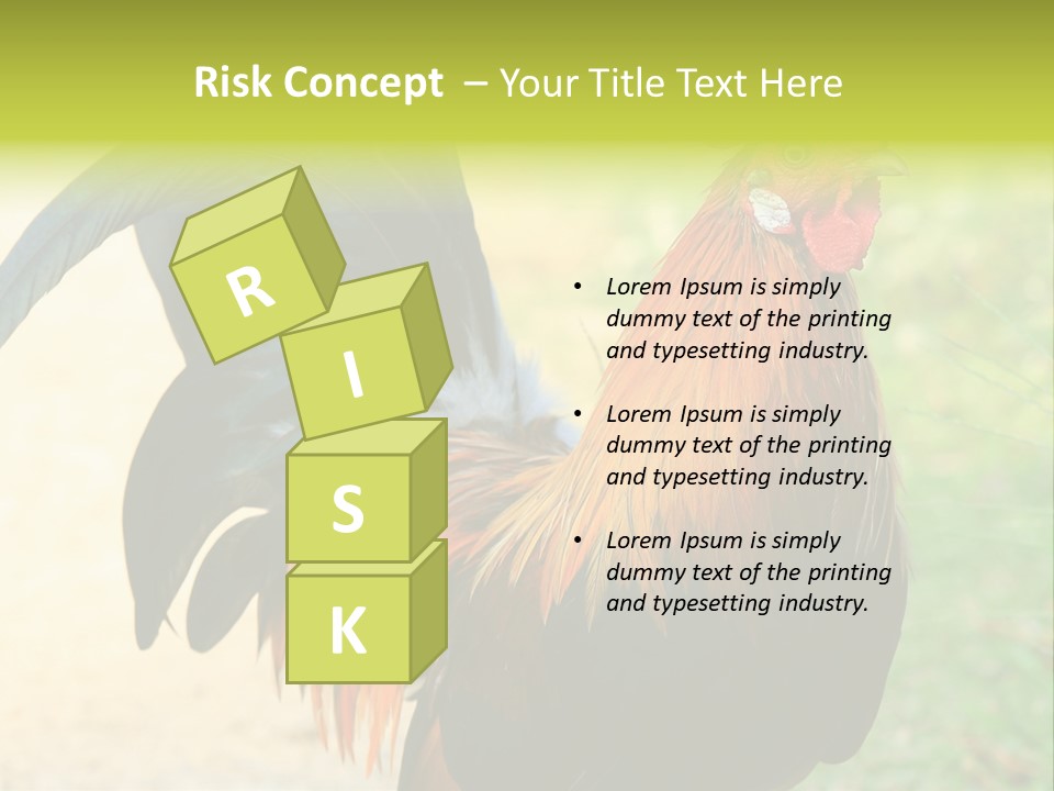 A Rooster Is Standing In The Grass PowerPoint Template