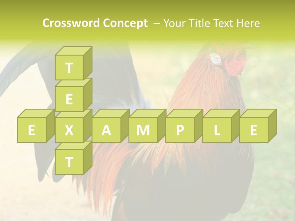 A Rooster Is Standing In The Grass PowerPoint Template