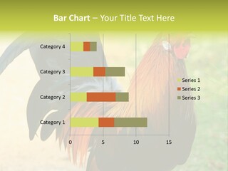 A Rooster Is Standing In The Grass PowerPoint Template