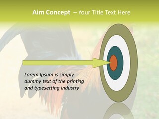 A Rooster Is Standing In The Grass PowerPoint Template