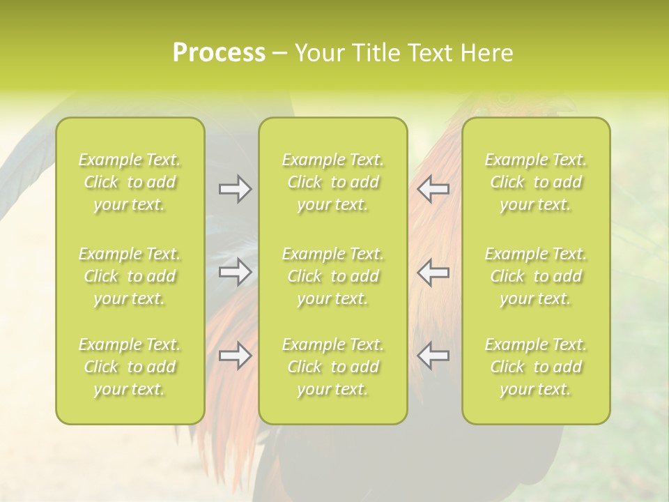 A Rooster Is Standing In The Grass PowerPoint Template
