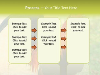 A Rooster Is Standing In The Grass PowerPoint Template