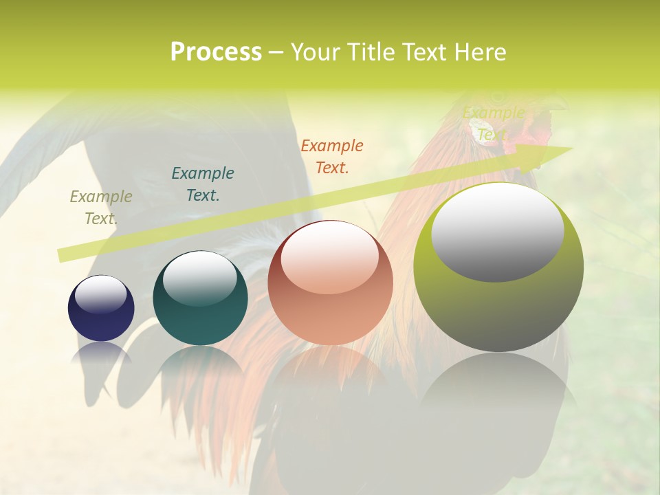 A Rooster Is Standing In The Grass PowerPoint Template