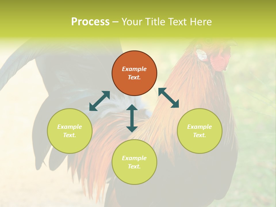 A Rooster Is Standing In The Grass PowerPoint Template