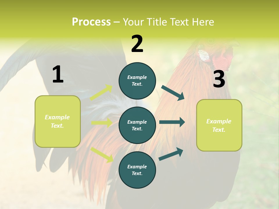 A Rooster Is Standing In The Grass PowerPoint Template