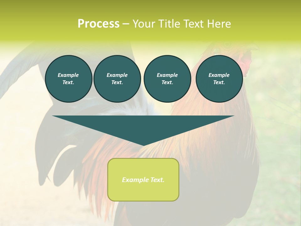 A Rooster Is Standing In The Grass PowerPoint Template