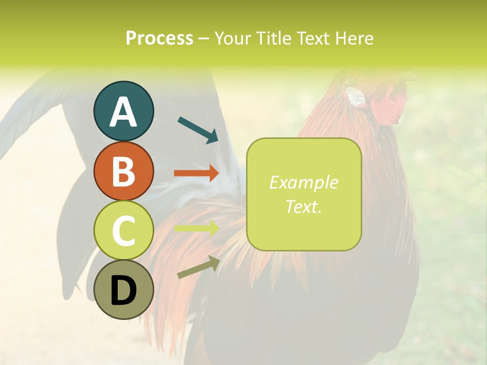 A Rooster Is Standing In The Grass PowerPoint Template