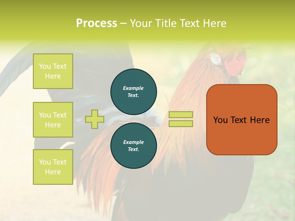 A Rooster Is Standing In The Grass PowerPoint Template