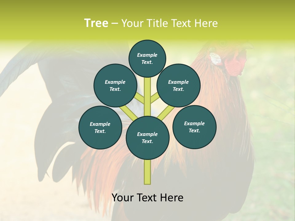 A Rooster Is Standing In The Grass PowerPoint Template