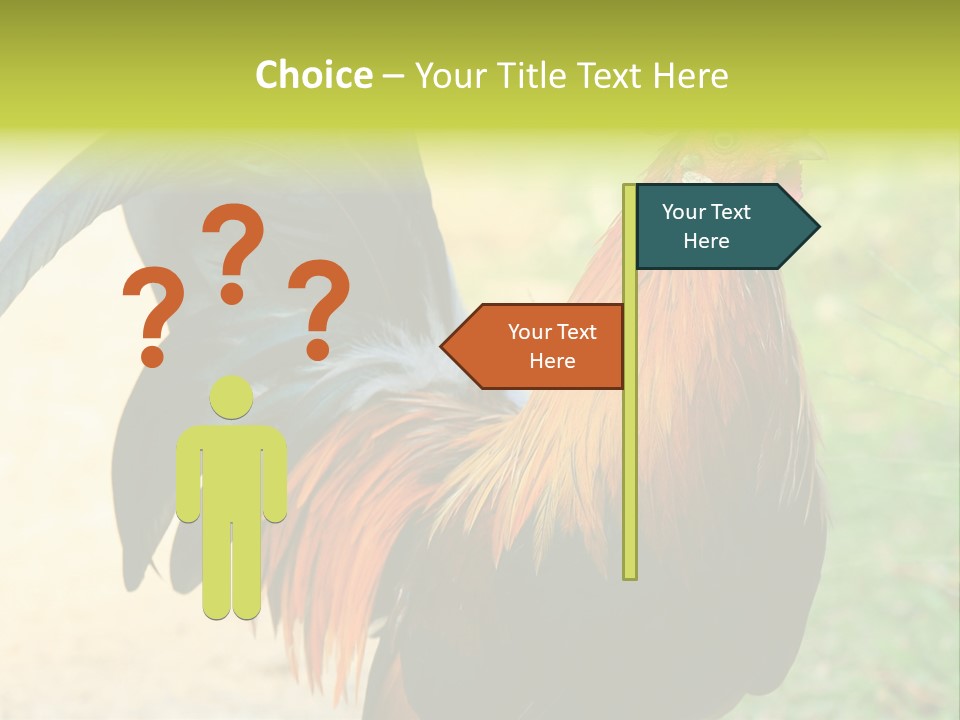 A Rooster Is Standing In The Grass PowerPoint Template