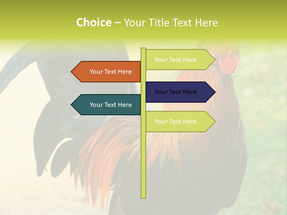 A Rooster Is Standing In The Grass PowerPoint Template