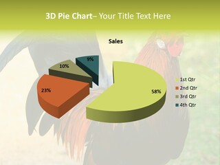 A Rooster Is Standing In The Grass PowerPoint Template