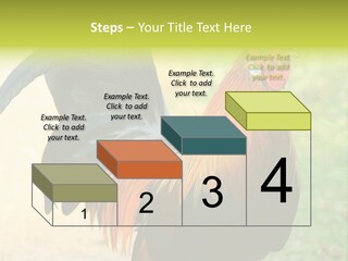 A Rooster Is Standing In The Grass PowerPoint Template