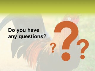 A Rooster Is Standing In The Grass PowerPoint Template