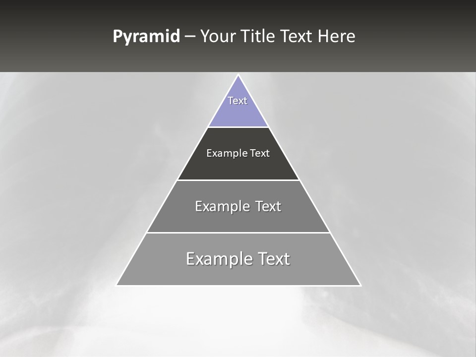 A Picture Of A Lung With The Words Name Of Presentation On It PowerPoint Template