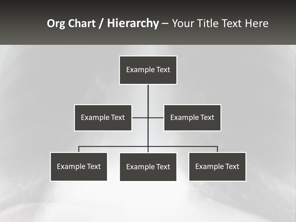 A Picture Of A Lung With The Words Name Of Presentation On It PowerPoint Template