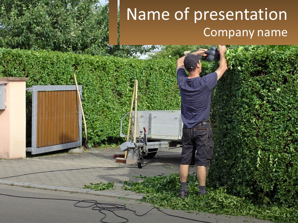 A Man Standing Next To A Green Hedge Holding A Camera PowerPoint Template