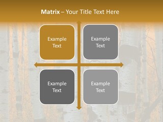 A Group Of Trees With Yellow Leaves In The Background PowerPoint Template