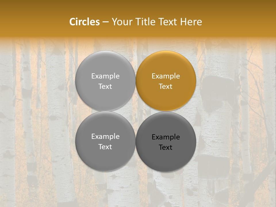 A Group Of Trees With Yellow Leaves In The Background PowerPoint Template
