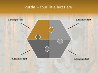 A Group Of Trees With Yellow Leaves In The Background PowerPoint Template