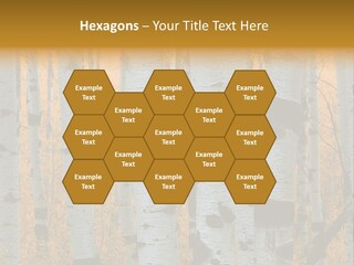 A Group Of Trees With Yellow Leaves In The Background PowerPoint Template