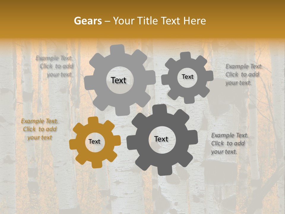 A Group Of Trees With Yellow Leaves In The Background PowerPoint Template