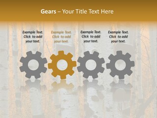 A Group Of Trees With Yellow Leaves In The Background PowerPoint Template