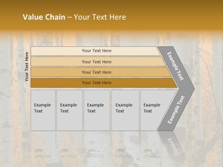 A Group Of Trees With Yellow Leaves In The Background PowerPoint Template