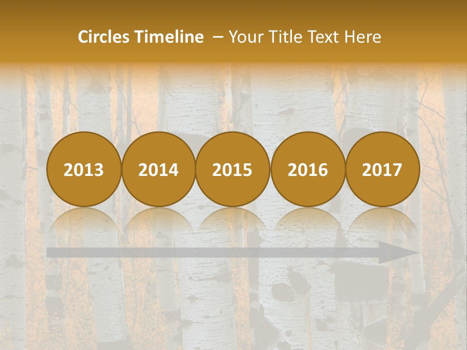 A Group Of Trees With Yellow Leaves In The Background PowerPoint Template