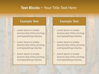A Group Of Trees With Yellow Leaves In The Background PowerPoint Template