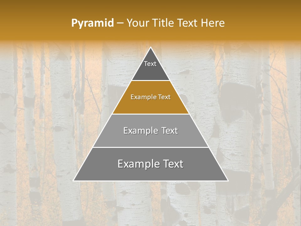 A Group Of Trees With Yellow Leaves In The Background PowerPoint Template