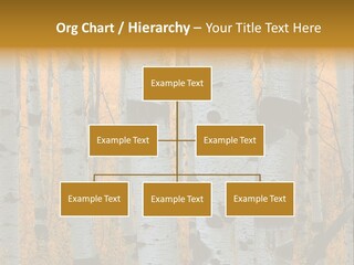 A Group Of Trees With Yellow Leaves In The Background PowerPoint Template