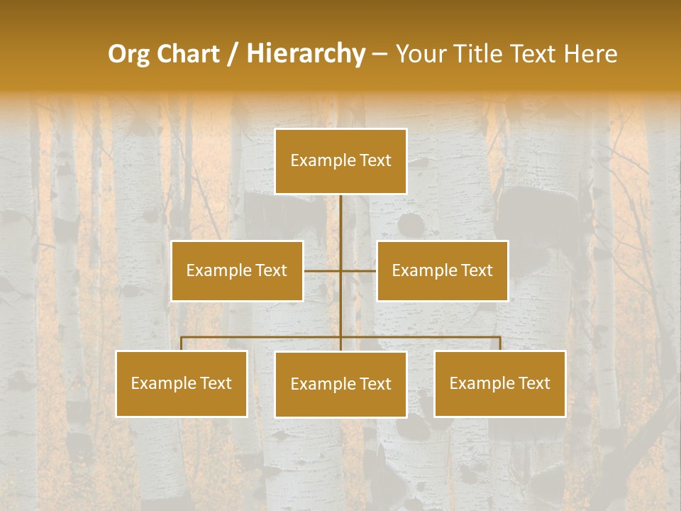 A Group Of Trees With Yellow Leaves In The Background PowerPoint Template