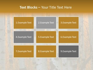 A Group Of Trees With Yellow Leaves In The Background PowerPoint Template