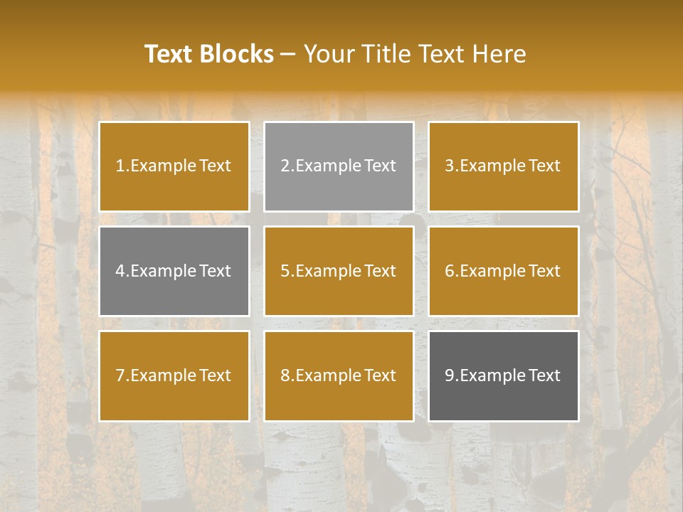 A Group Of Trees With Yellow Leaves In The Background PowerPoint Template