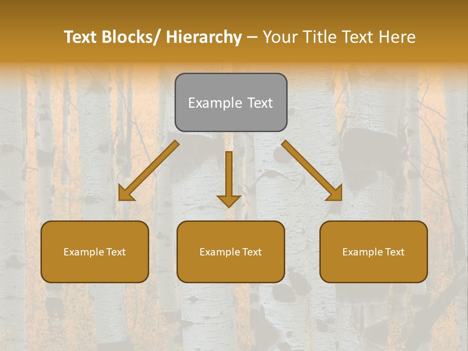 A Group Of Trees With Yellow Leaves In The Background PowerPoint Template