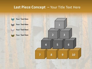 A Group Of Trees With Yellow Leaves In The Background PowerPoint Template