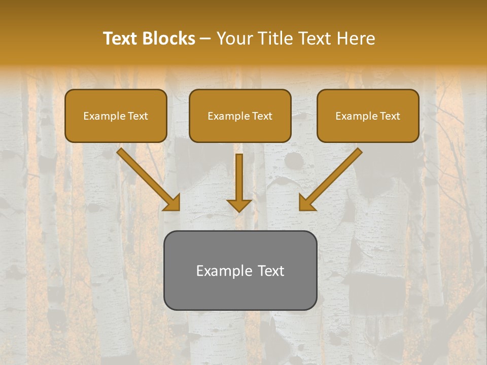 A Group Of Trees With Yellow Leaves In The Background PowerPoint Template