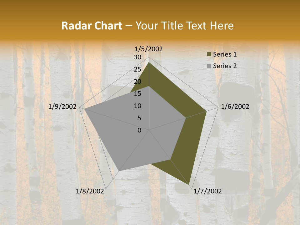 A Group Of Trees With Yellow Leaves In The Background PowerPoint Template