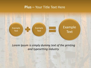 A Group Of Trees With Yellow Leaves In The Background PowerPoint Template