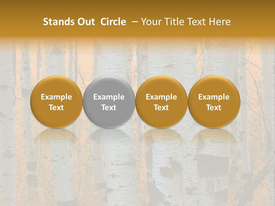 A Group Of Trees With Yellow Leaves In The Background PowerPoint Template